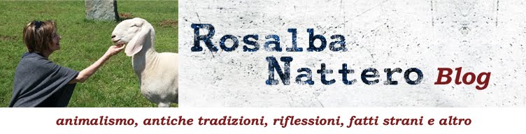 Il blog di Rosalba Nattero