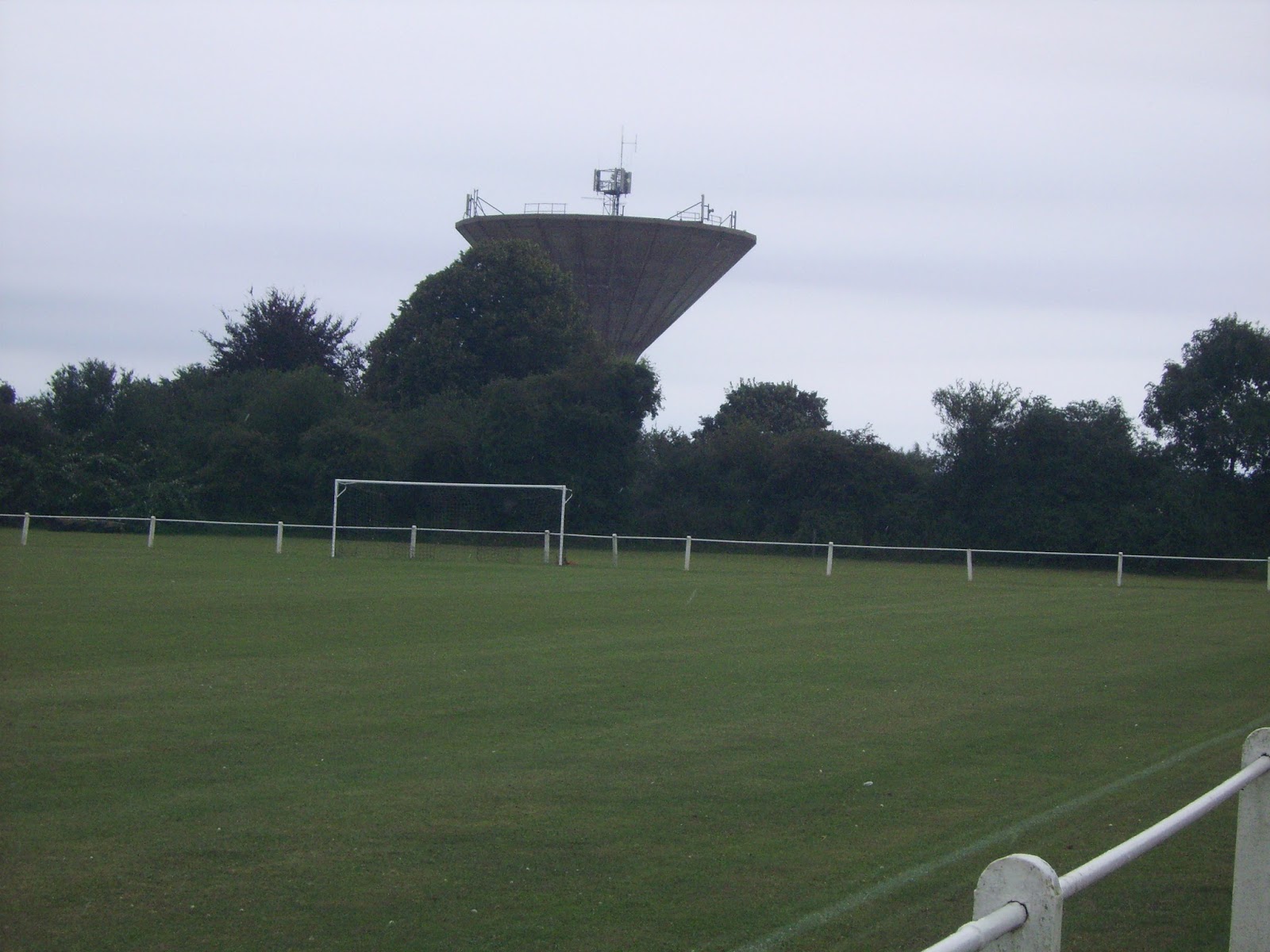 The Tortoise Travels Swaffham Town Shoemakers Lane