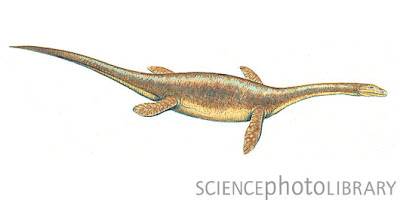 reptiles prehistoricos marinos Ceresiosaurus
