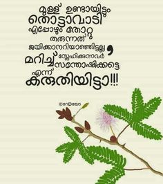 malayalam good morning images free download