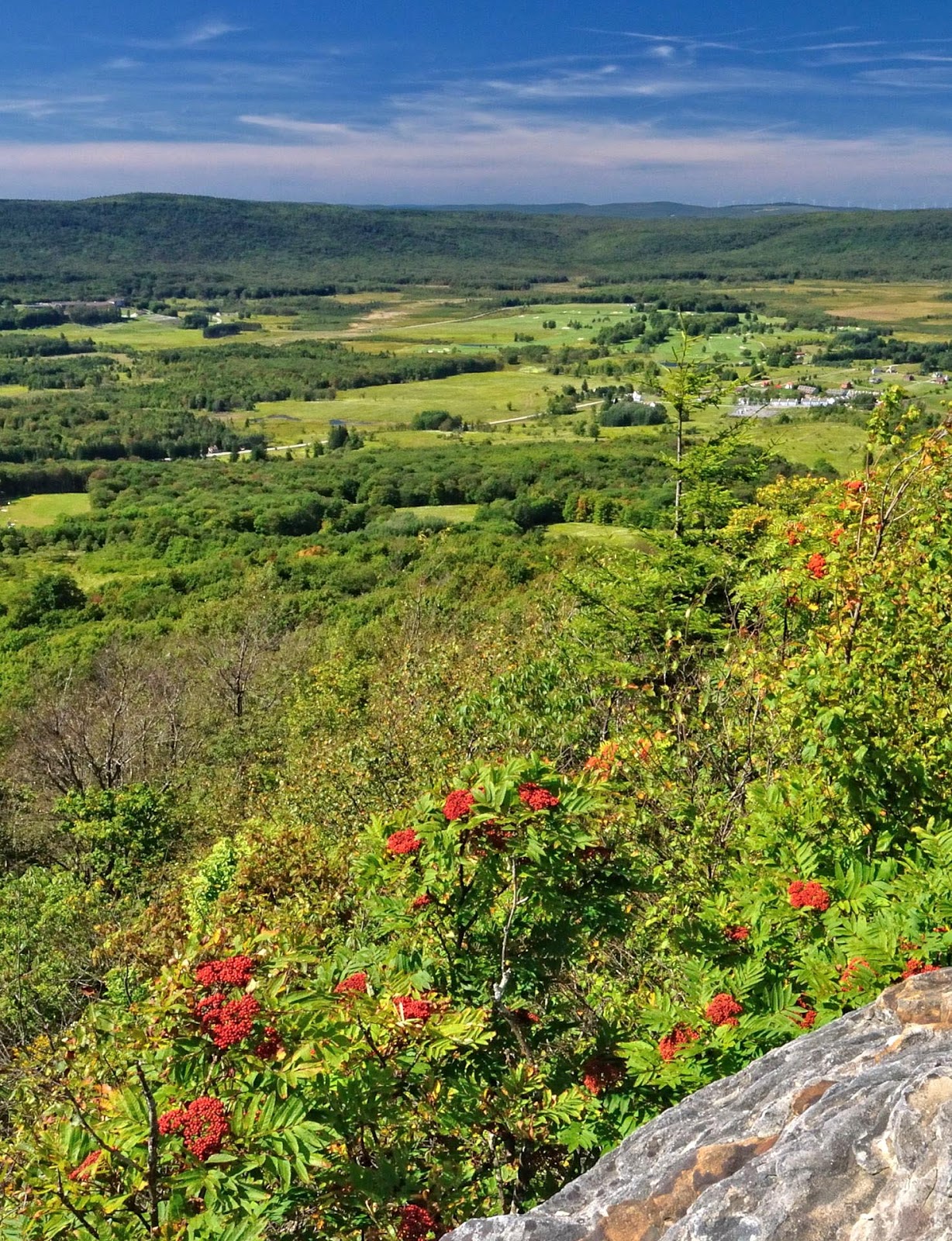 Discover West Virginia Ride to the top of Canaan Valley The Bald Knob