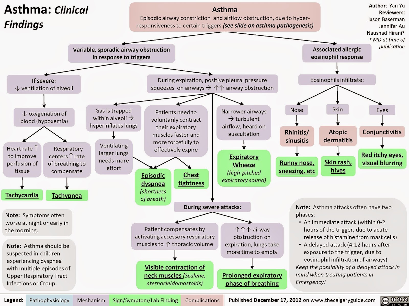 Pathophysiology Of Chronic Asthma And Acute Asthma