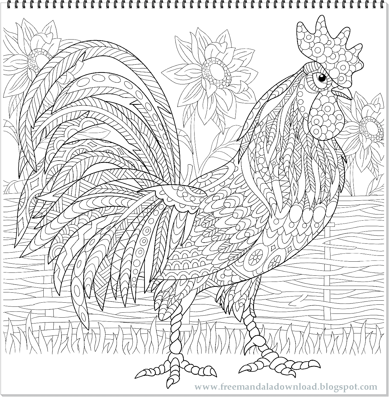 Kikeriki Kreativ! Ausmalbilder Hahn: Bunte Hühner für Groß und Klein!