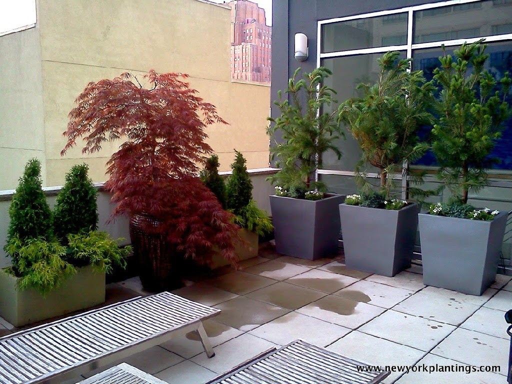 NY ROOFTOP GARDENERS NYC ROOFTOP GARDEN DESIGNERS