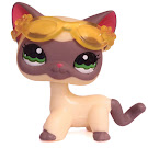 Littlest Pet Shop Multi Pack Siamese (#1116) Pet