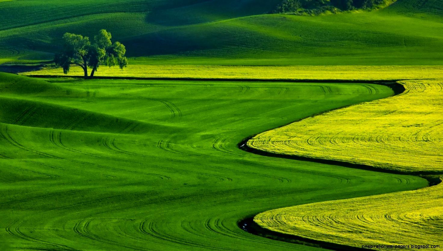 Nature Free Desktop Wallpapers Obtain   HD Images New