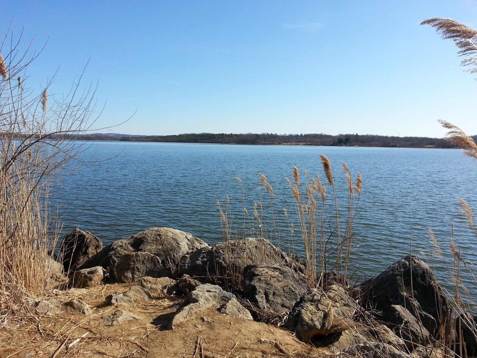 blue in green Spruce Run Lake New Jersey Fall 2013