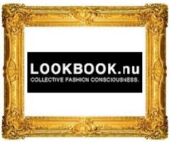 Follow us with Lookbook.NU