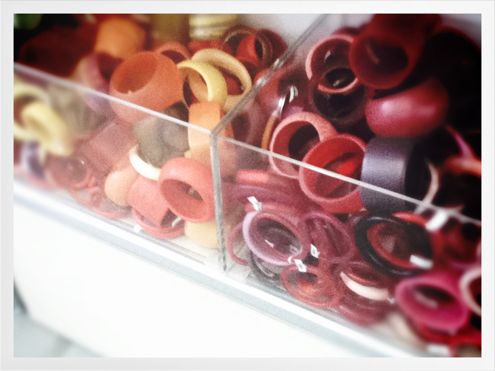 Molly's Maison Dinosaur Designs Extinct store visit