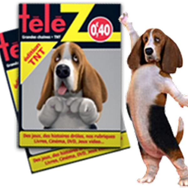 Baba un jour baba toujours basset hound Droopy t l  