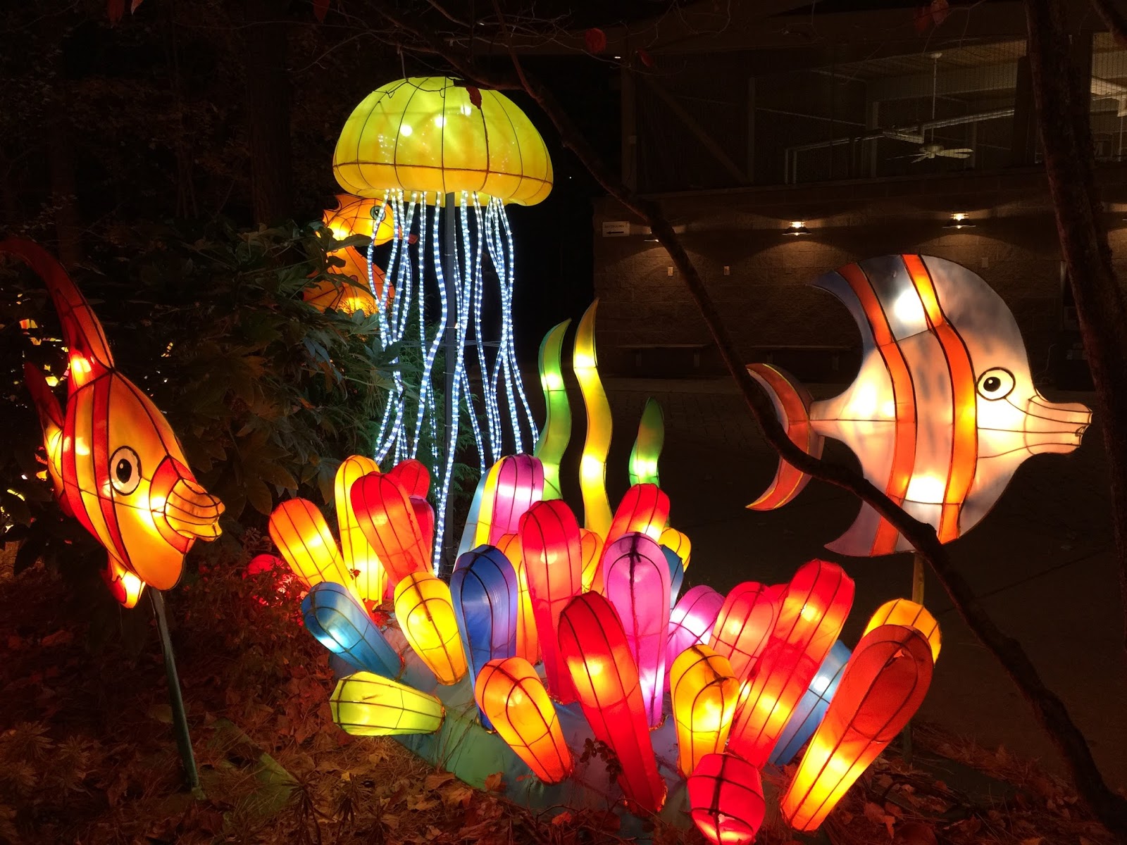 NC Chinese Lantern Festival Visits Koka Booth Amphitheater for the 2nd