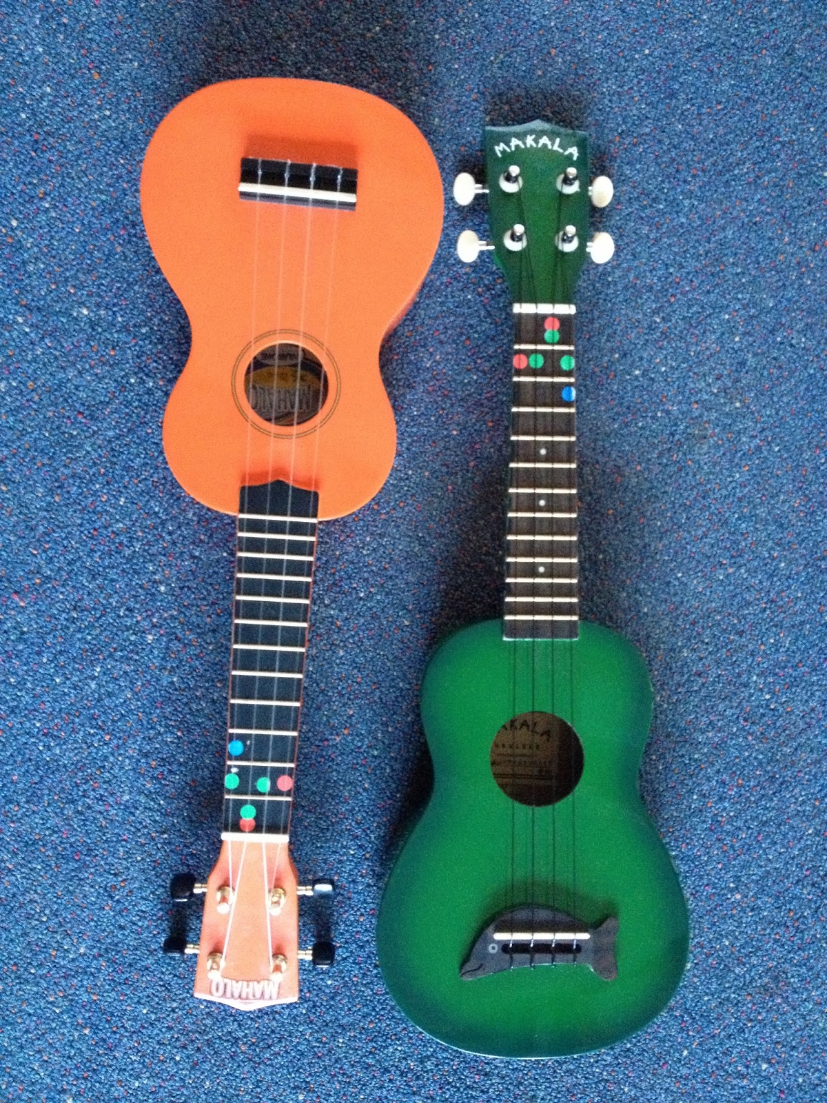 Room 4 Lawrence Area School Ukuleles