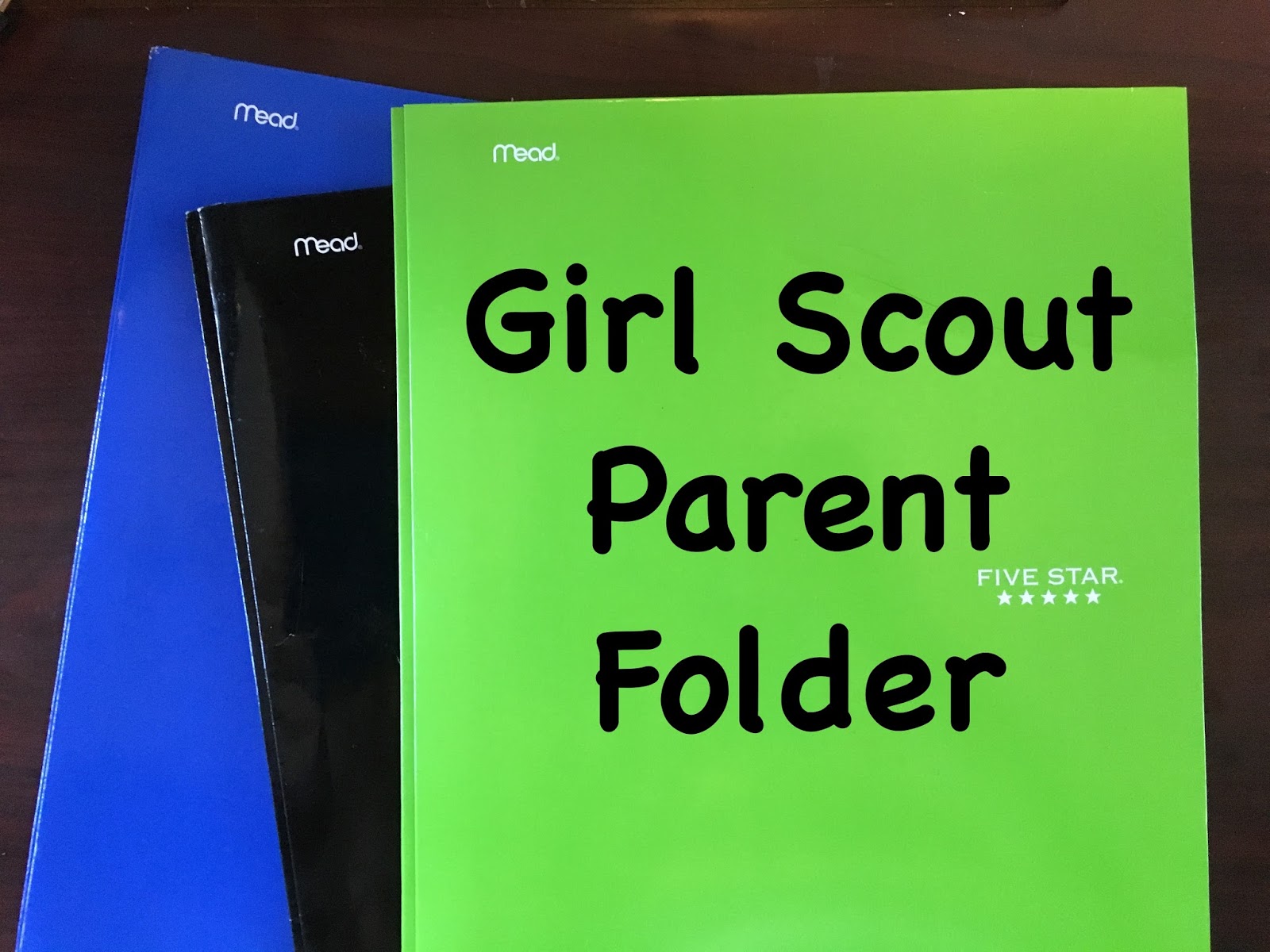 Ms Curly Texan Girl Scout Parent Folder