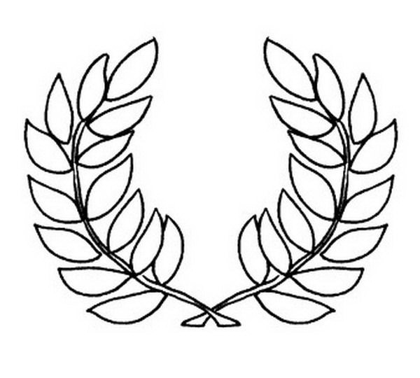 Hojas de Olivo para colorear COLOREA TUS DIBUJOS