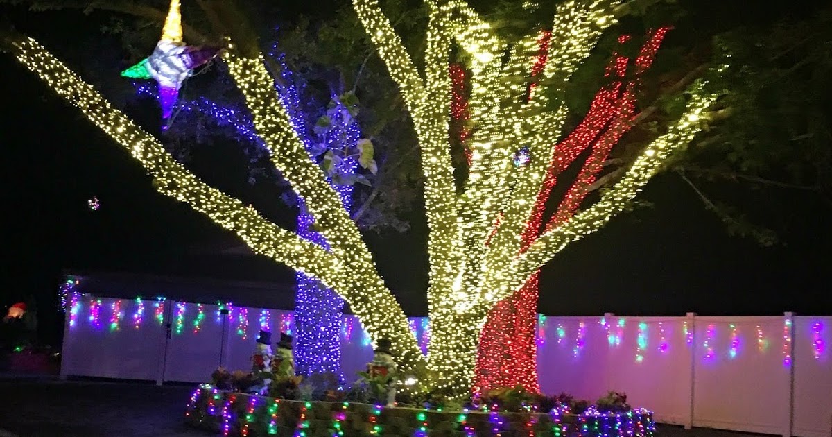 PinecraftSarasota Christmas Lights