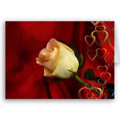good morning romantic rose
