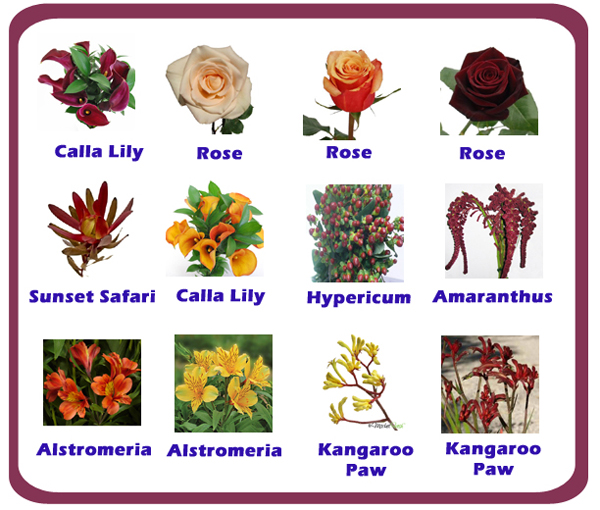 Flowers For Flower Lovers Flowers Names