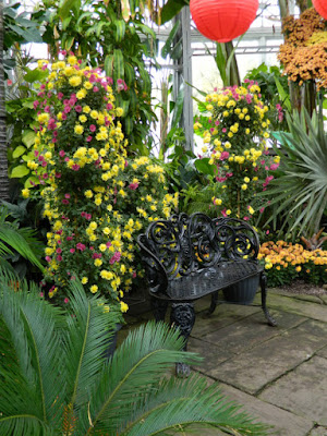 Allan Gardens Conservatory 2015 Chrysanthemum Show bench display by garden muses-not another Toronto gardening blog