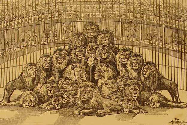 Bostock's trained lions,Man reading newspaper,surrounded by lions,1903 Frank C