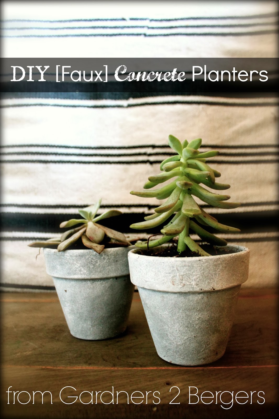 DIY-Faux-Paint-Concrete-Planters