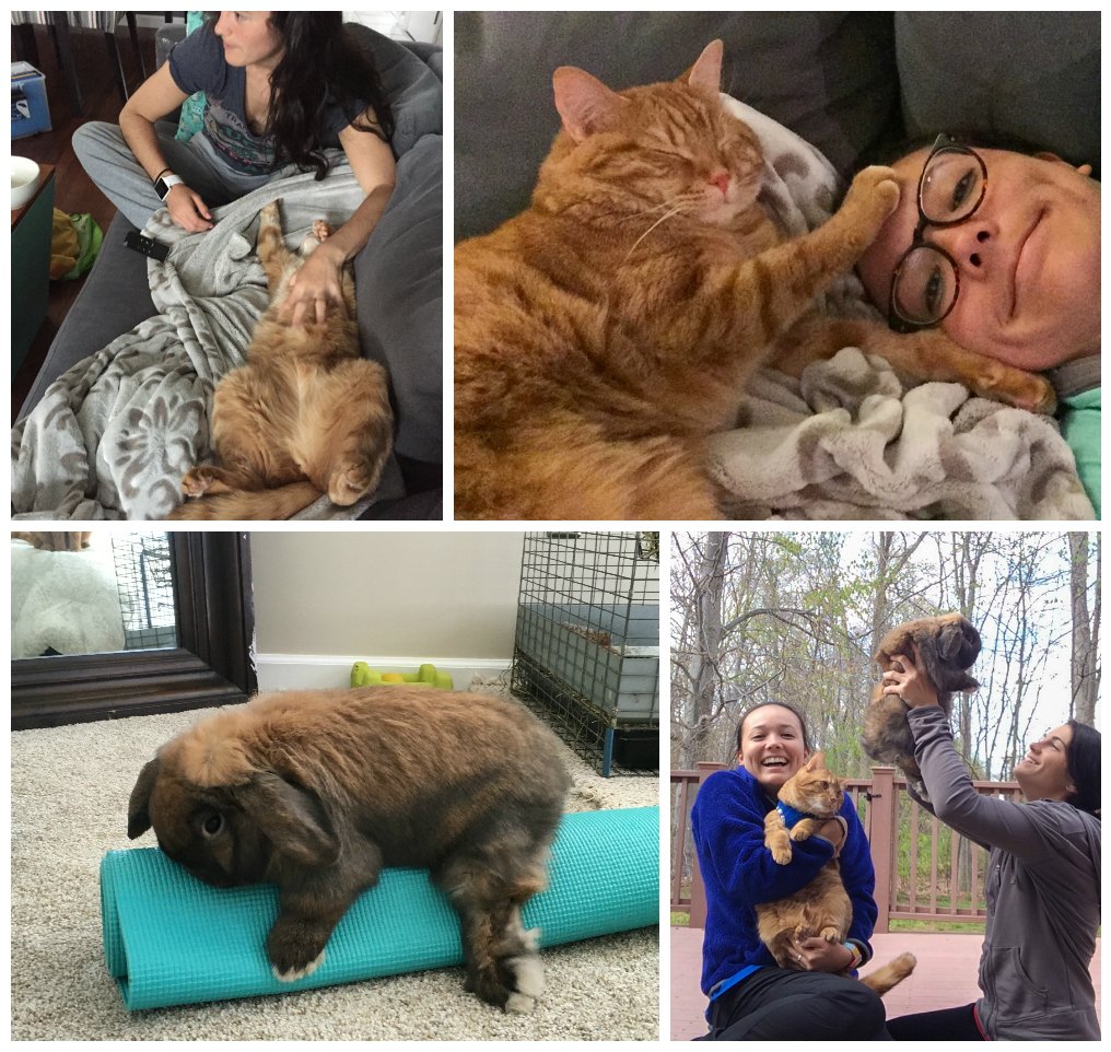 Gayle Tales Two Girls, a Cat, and a Bunny