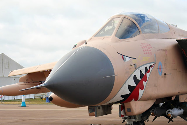 RAF Tornado Gulf War pink desert