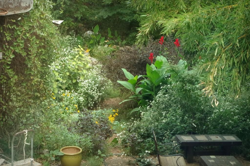 Trillium Fae S Nature Blog April Flowers