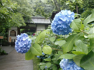 �����@�i���q�s�j