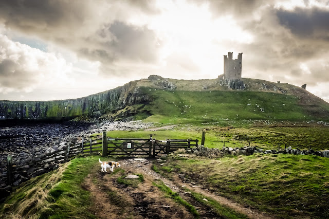 Dunstanburgh Castle, Northumberland dog friendly holiday cottages in embleton, northumberland, mandy charlton, photographer, writer, blogger