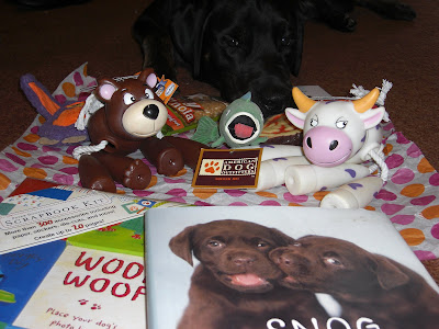 Picture of all the wonderful things Addie, Lucy an Hailey sent us - a doggy style scrapbook, a cute dog book, many toys for Rudy and some doggy treats. Rudy is laying down behind the toys