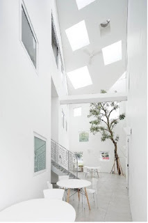 Cara Cerdas Mempercantik Desain Interior Rumah Minimalis Anda Dengan Tanaman. Cara Cerdas Mempercantik Desain Interior Rumah Minimalis Anda Dengan Tanaman.