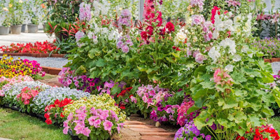 The 15 Best Annual Flowers You Need to Plant In Your Yard ~ NEWSOLOGIES