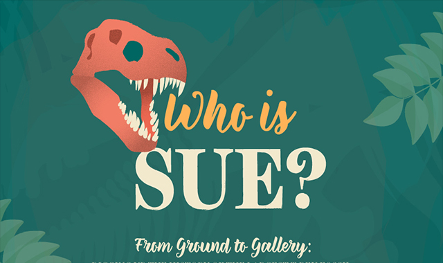 Who Is Sue? South Dakota’s Biggest Dino