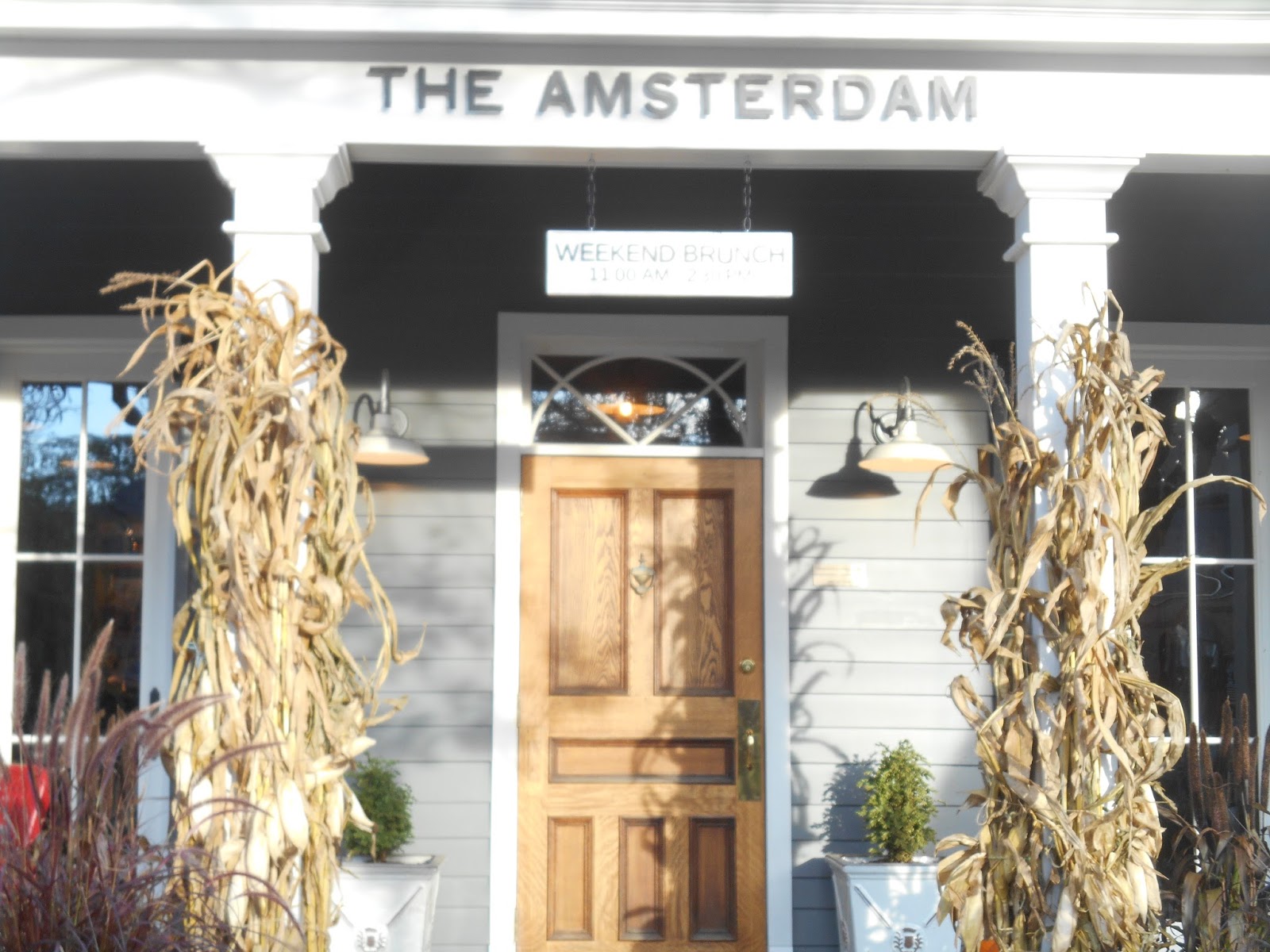 Gourmet Baron The Amsterdam Restaurant ; Rhinebeck, New York