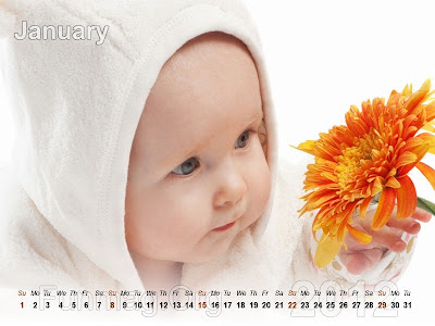 babies calendar 2- 2012