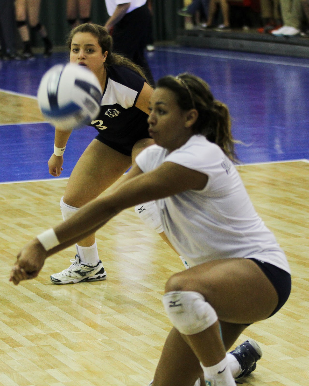 WNCC Cougar Athletics WNCC volleyball moves into title match after