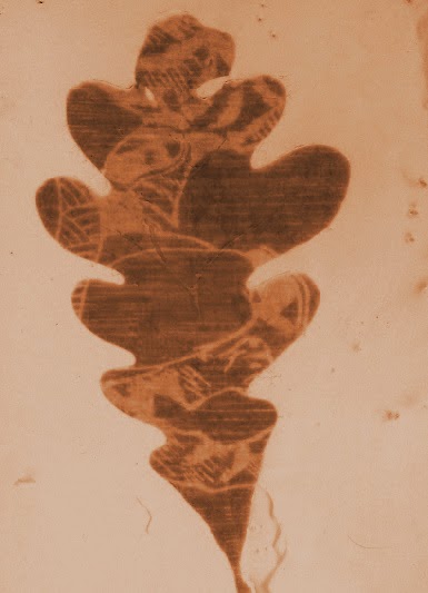 leaf imprint