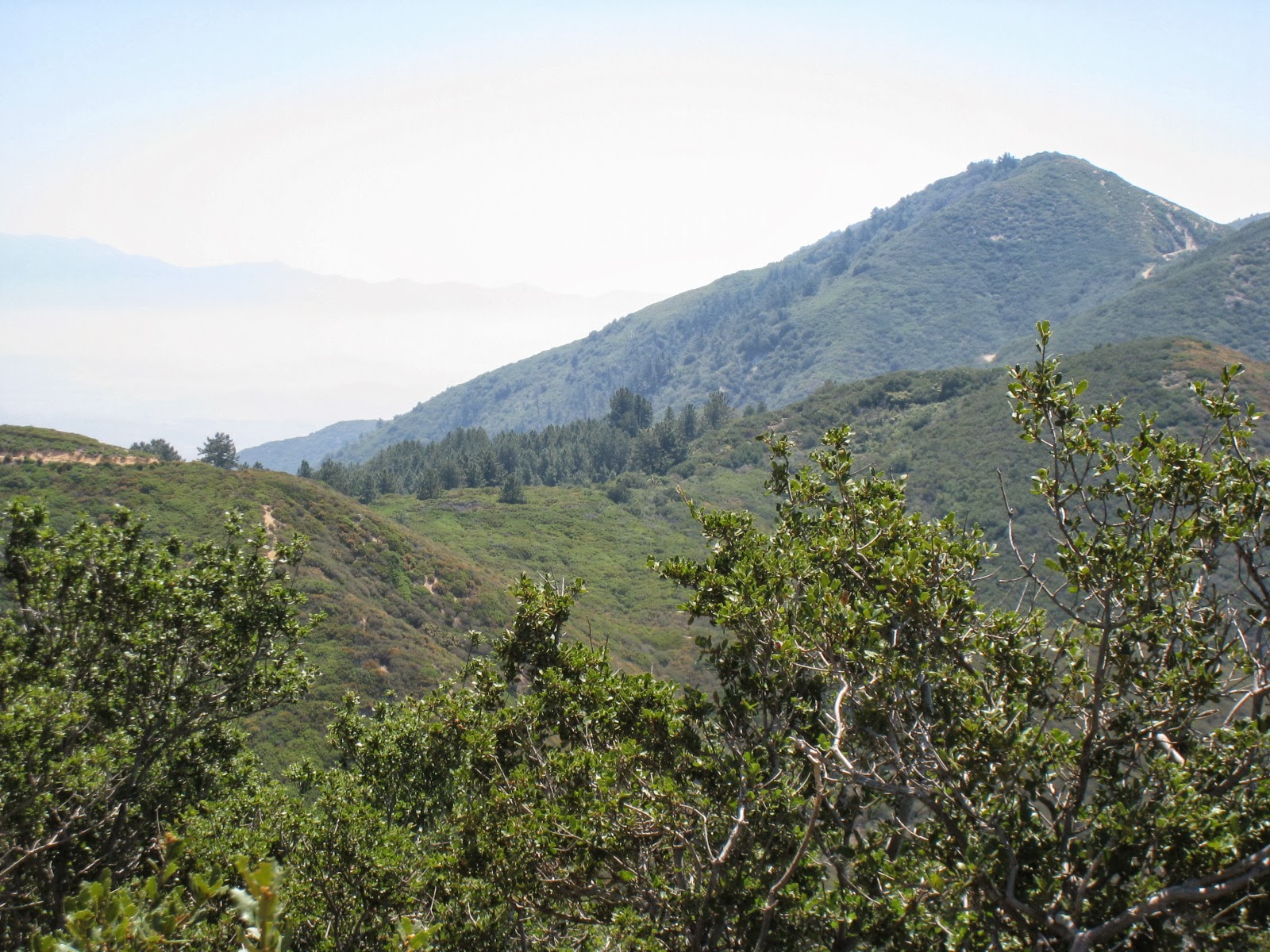 Top of Saddleback Mountain (Santiago Peak)