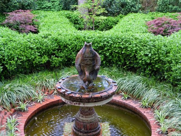 Tips for the home garden during September