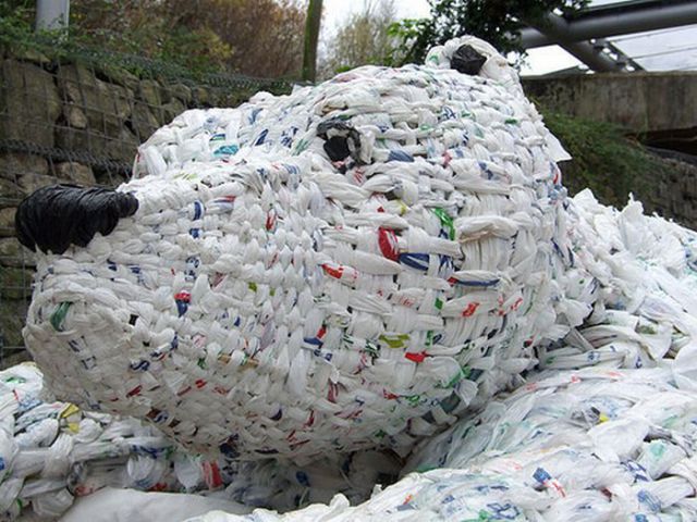Ingeniosos proyectos de arte con material de reciclaje. 