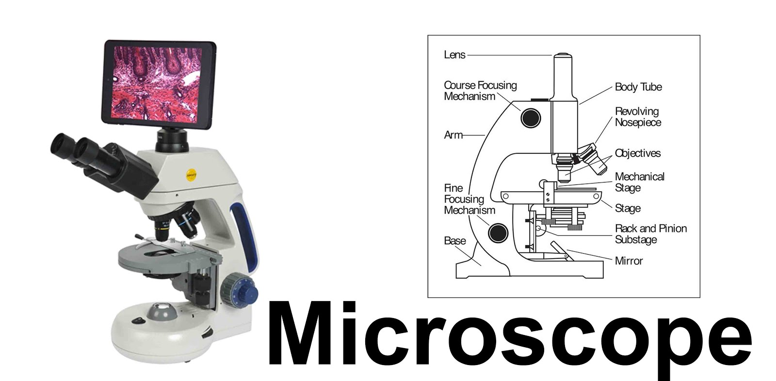 What is Microscope