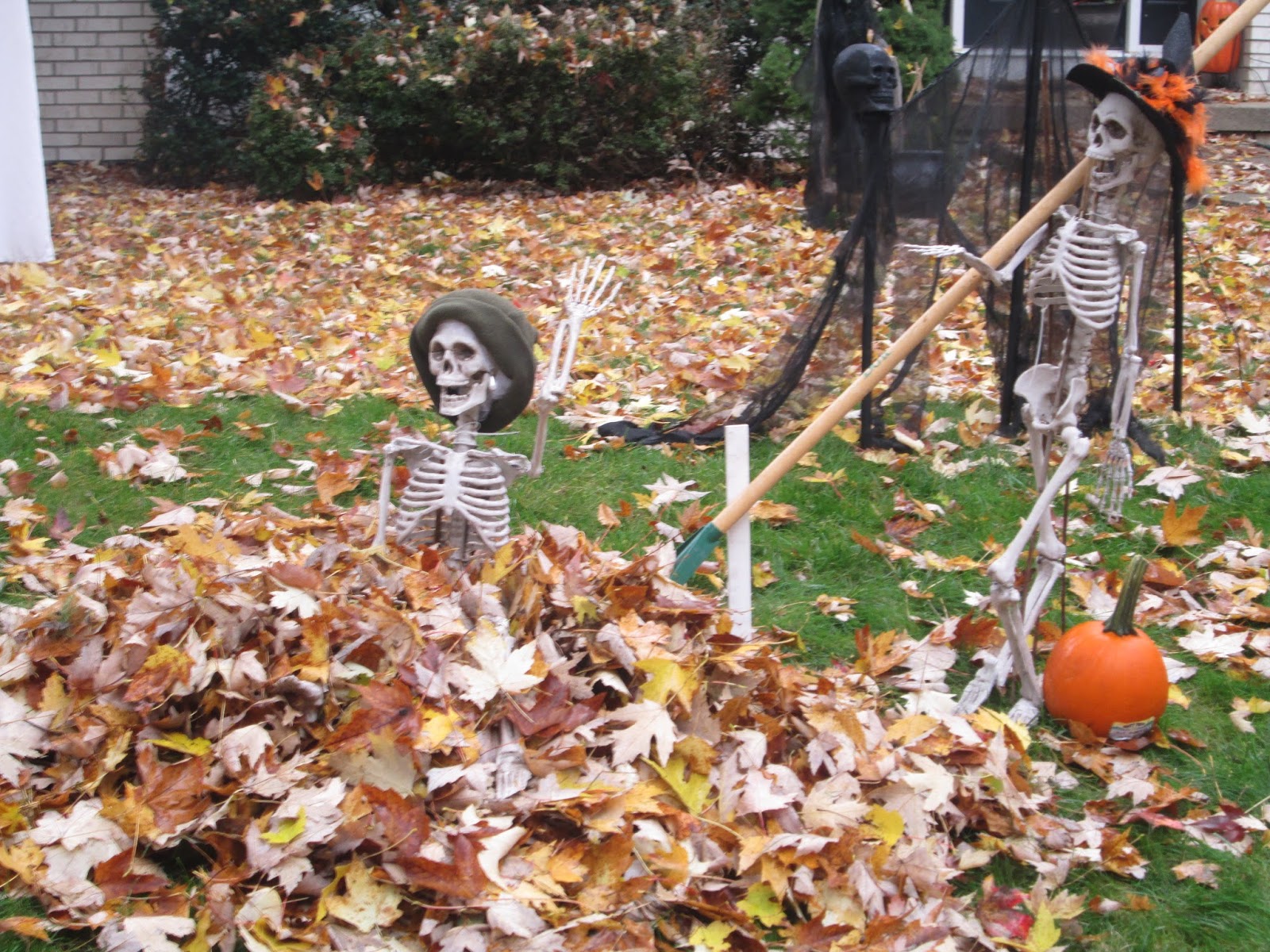 Science: It's All Elementary: Day 5 of 13 Days of Halloween: Skeleton Fun1600 x 1200