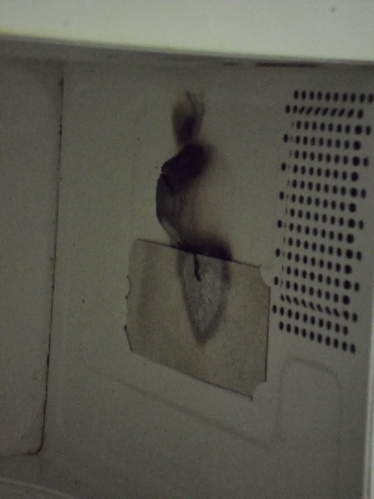 PotterAshleigh Blogs Exploding Microwave