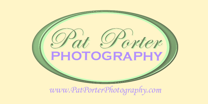 Pat Porter Photography