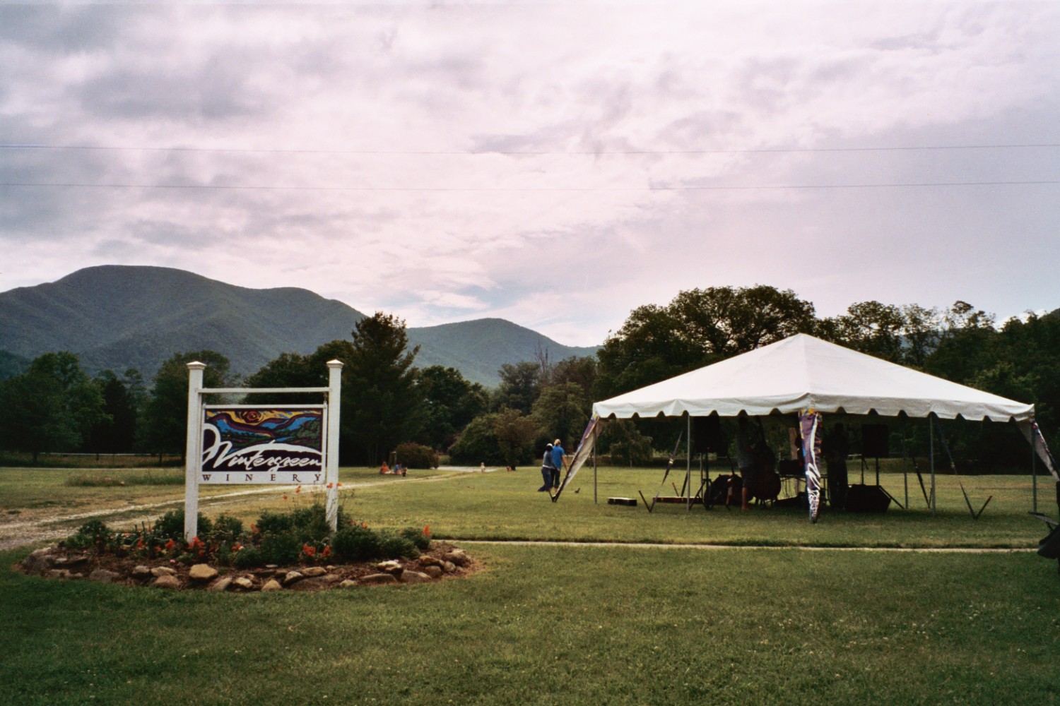 VIRGINIA WINE NOTEBOOK Three Great Views Looking Up