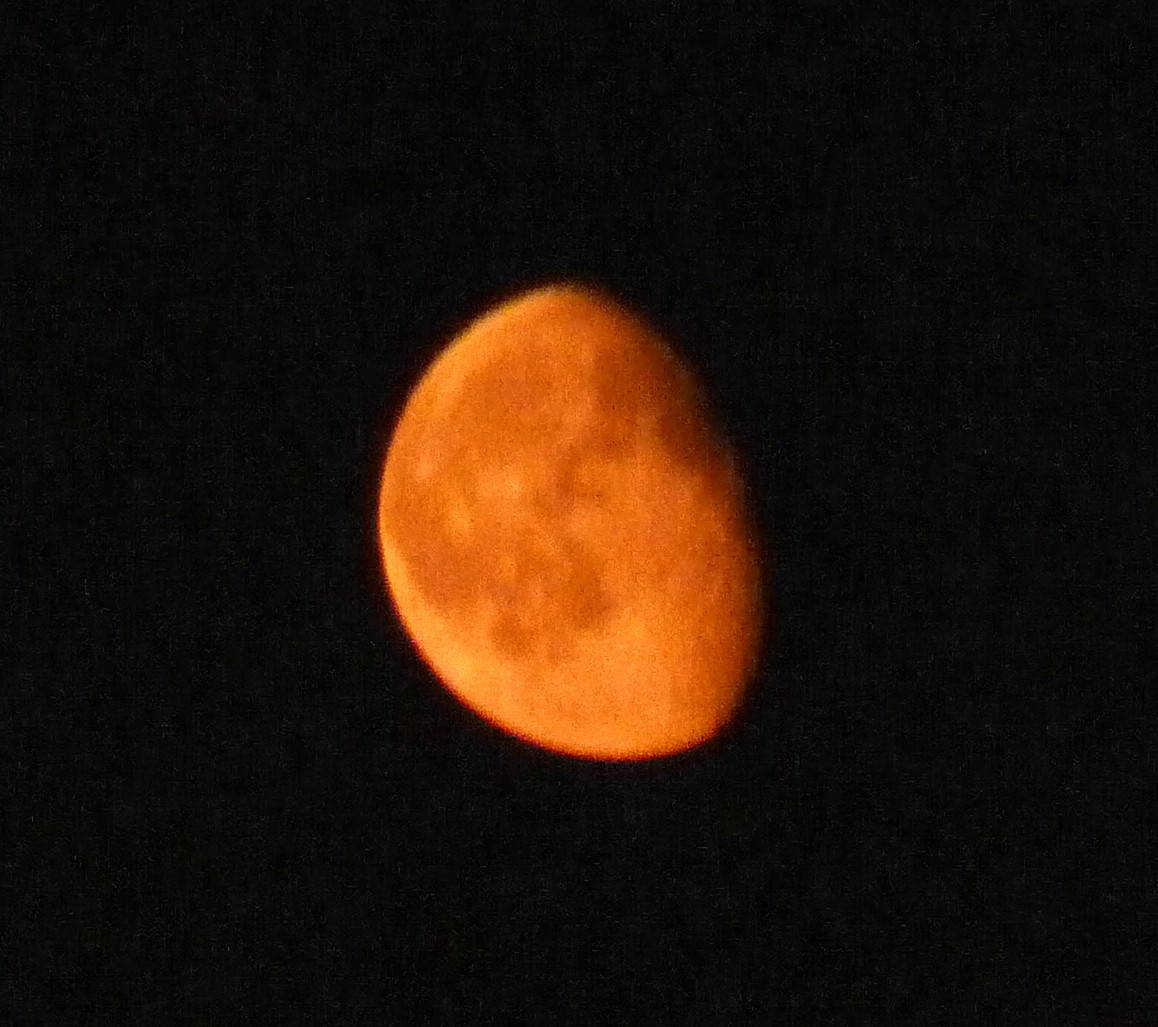 mcbrooklyn Orange Moon Last Night