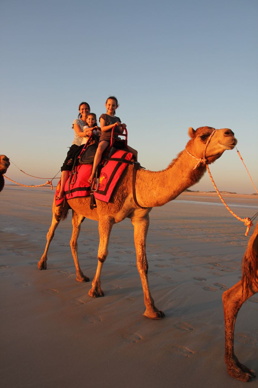 shanleylife Cable Beach Camels