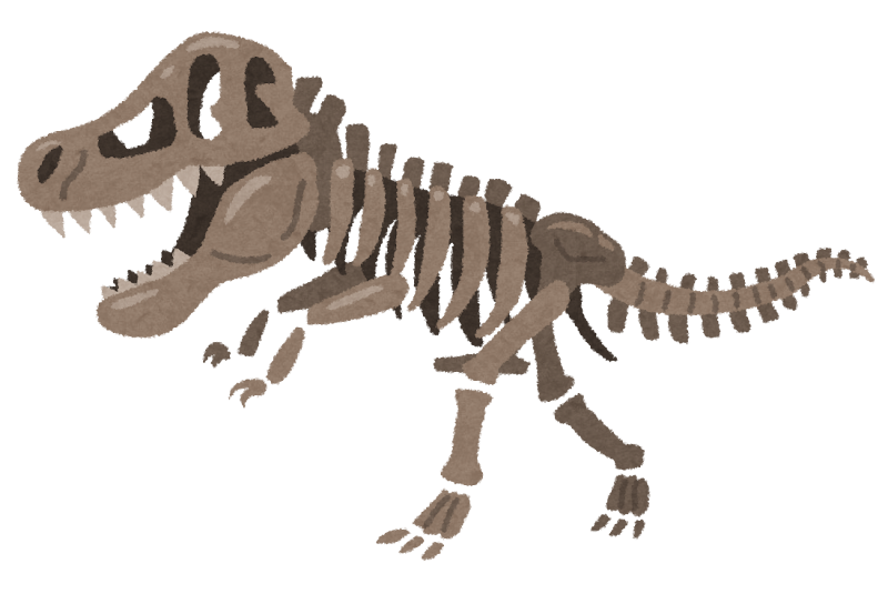 恐竜の化石 骨格標本のイラスト かわいいフリー素材集 いらすとや