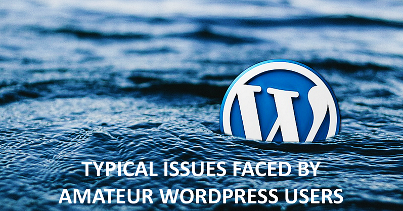 Typical Issues Faced By Amateur WordPress Users