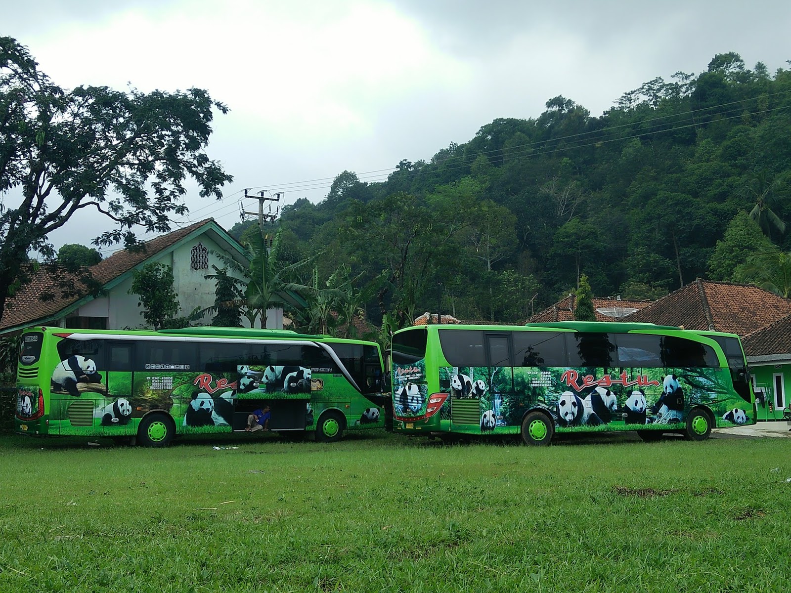 Restu Panda Pariwisata: Mengarungi Jalan Raya dengan Kenyamanan dan Kemewahan